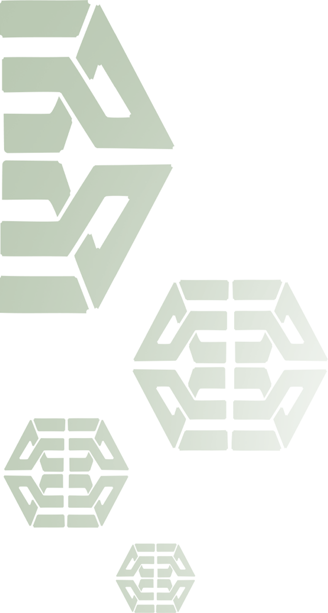 Home 31 Section 12 logo bg