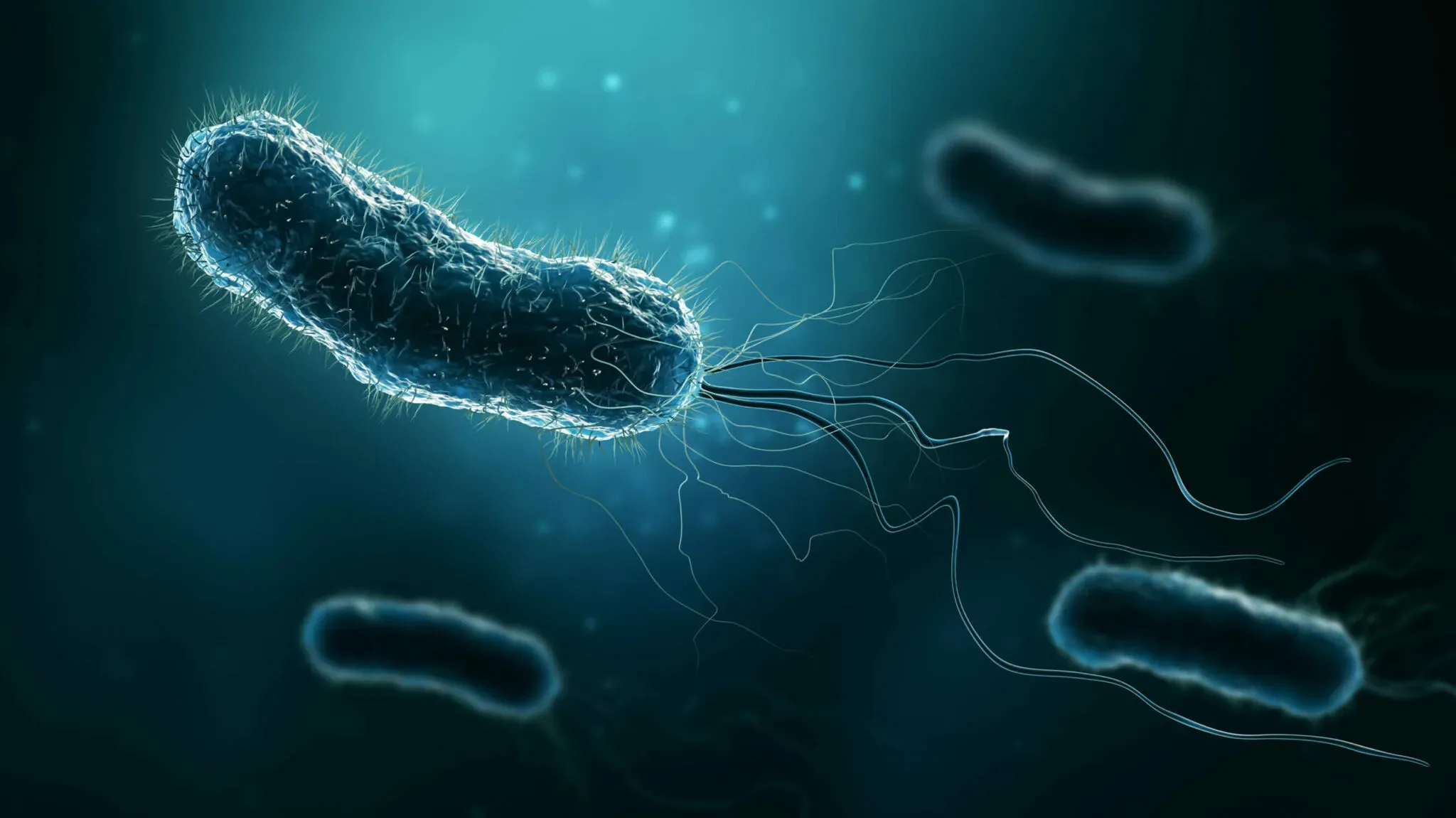 a microscopic view H pylori bacterium by Active Edge in Columbus Ohio