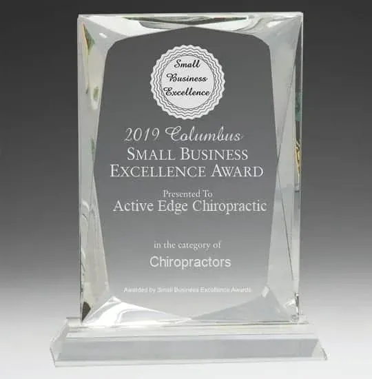 Active Edge Chiropractic Selected For 2019 Columbus Small Business Excellence Award 1 SmallBusinessExcellenceAward 1