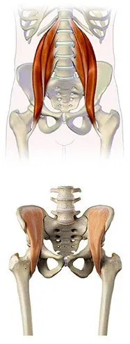 Low Back Pain 1 lower back pain diagram